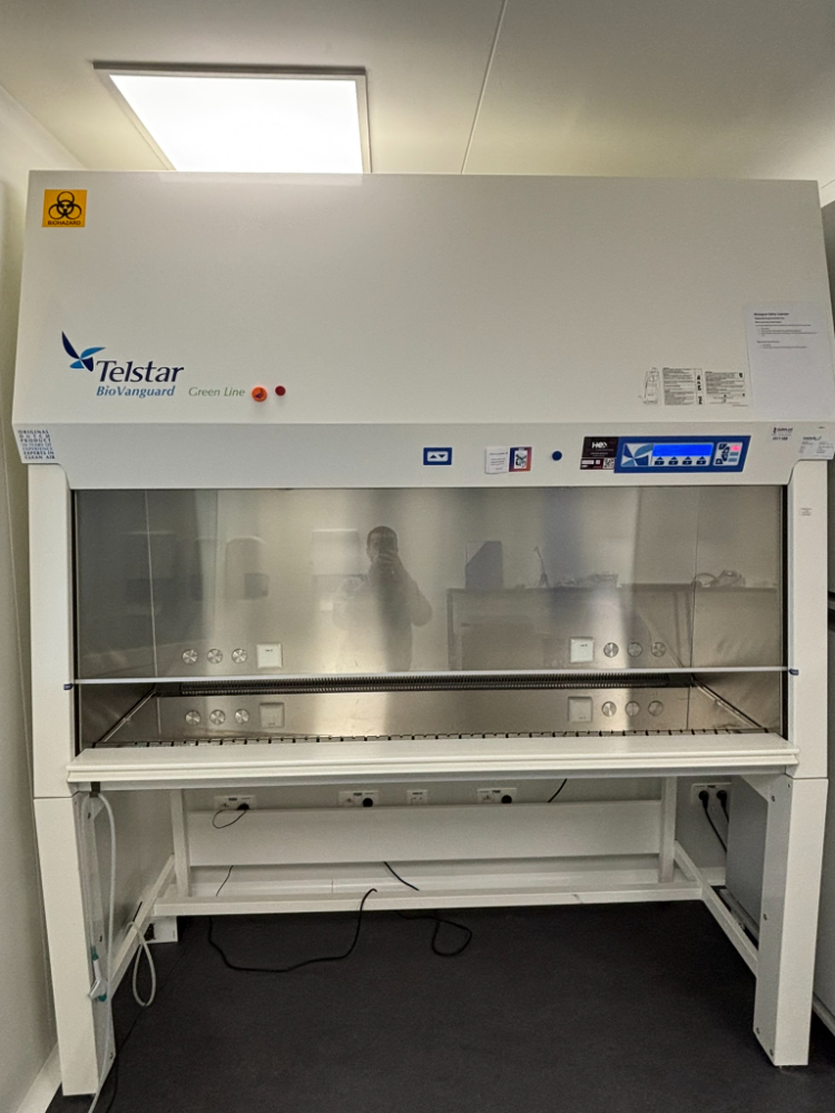 Image of Telstar BioVanguard Green Line Safety Cabinet